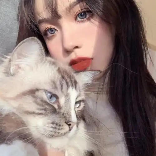 头像因为感觉不到被爱所以做了那个先走的人