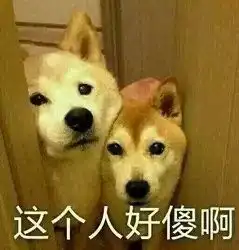 四通说女生不想收的奇葩礼物你有送过吗