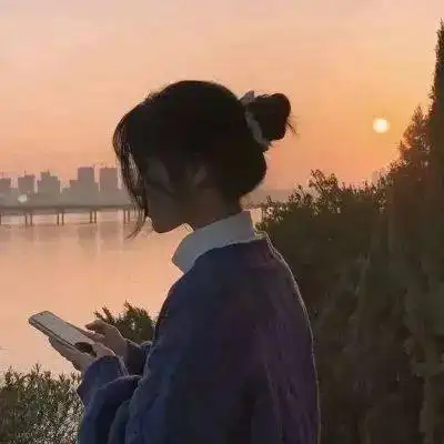夕阳下的背影女生头像哈佛