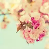 唯美带花女生头像意境