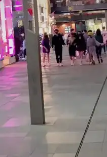 王思聪深夜与俩美女同行,戴墨镜小黄帽,粉丝合影被保镖强行删除