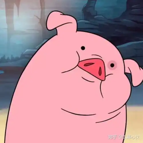 在南充应该选择哪家整形医院