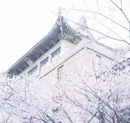 樱花图片大全大图唯美2018最美樱花图片大全真实风景