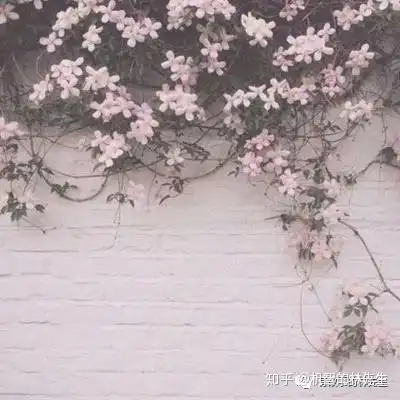 什么时候去见你最想见的人啊