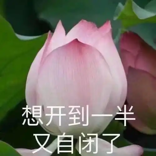 最全干货,如有雷同,以我为准内含视觉传达部分资讯