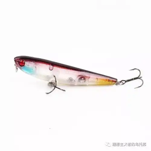 路亚知识大杂烩,可能是有史以来总结概括最全面的一次
