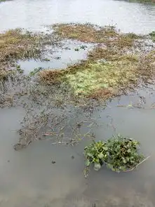 弹钓还能约女钓友不想玩传统和路亚了...