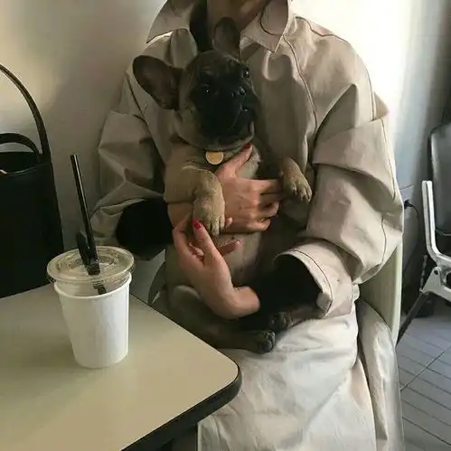 情侣头像小仙女网恋么