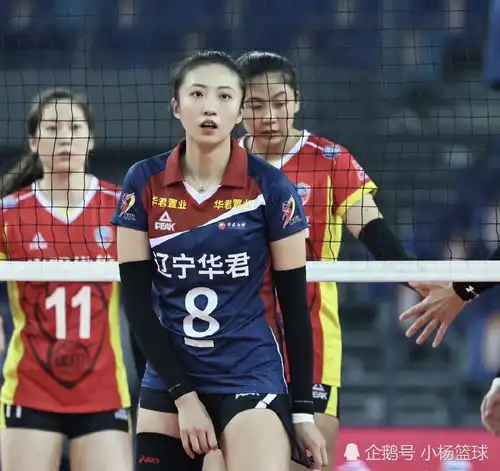 今日女排联赛辽宁战上海图集