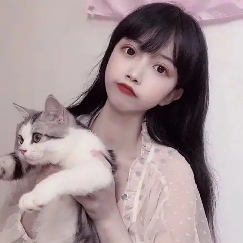 抱猫拍女生头像你要看猫还是看我