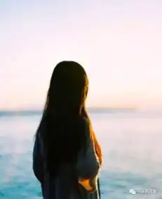 相遇,是一种美丽