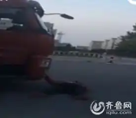 山东女子跳骑马舞碰瓷一见卡车立马倒下
