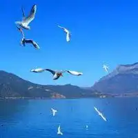 微信蓝天白云风景图片微信头像图片大全
