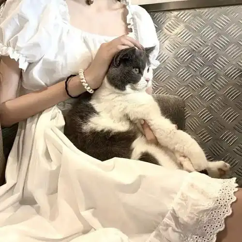 不露脸系列女头相思了无益