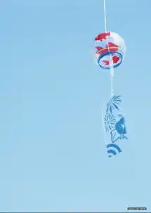 有谁知道在哪能买到这种风铃