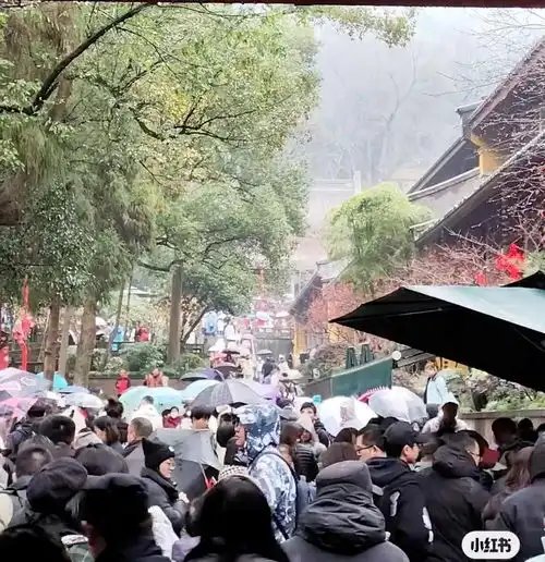 多个热门博物馆春节假期已约满部分景区暂停线上售票
