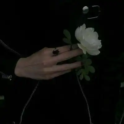 男生部位头像带花,男生拿花半身头像2