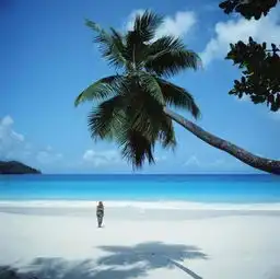 三亚什么地方最美