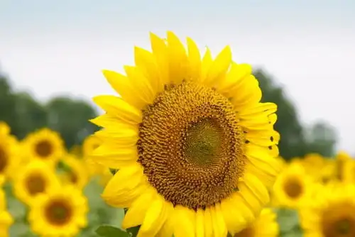 7月开始不缺贵人,抽中富贵上上签,越过越风光的3大属相