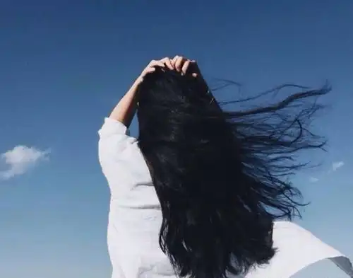 为什么理发店的碎头发有人收购,是做什么用的