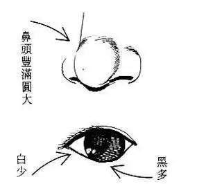 女人面相算命图解二