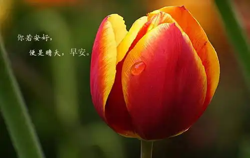 世界很大,风景很美