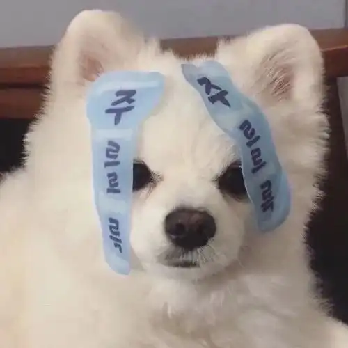 搞笑头像女生简单干净狗