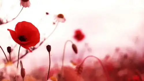 9月,最容易和旧爱,破镜重圆的四大星座