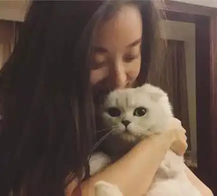 娱乐圈落落大方不矫揉不造作的女明星倪妮绝对算一个