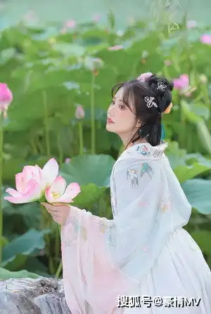 莲花荷叶写真摄影美女图片