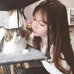 伤感头像意境唯美女生头像大全原谅我面无表情却爱你好深