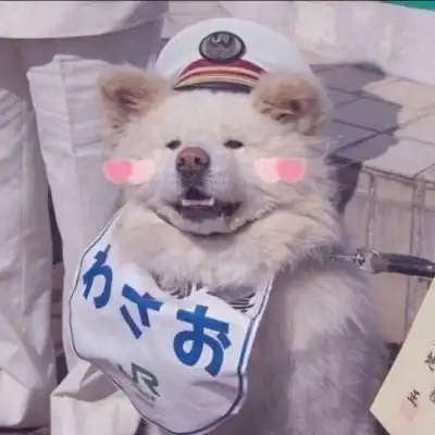 可爱小动物头像0