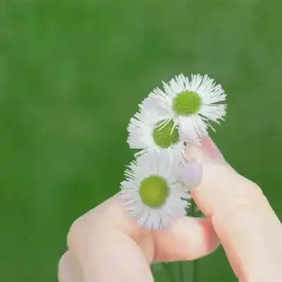 女生绿色头像清新森系2020绿色系小仙女头像