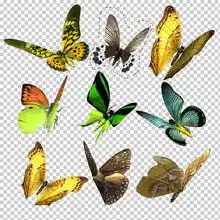 爱丽丝风photoshop描绘田野上的女孩