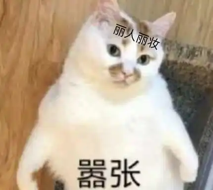淘宝旗舰店的隐秘生意,这家公司凭什么年入40亿