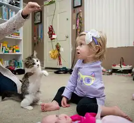 三条腿小猫与独臂女孩的成长史