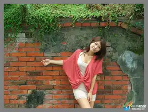 移动版