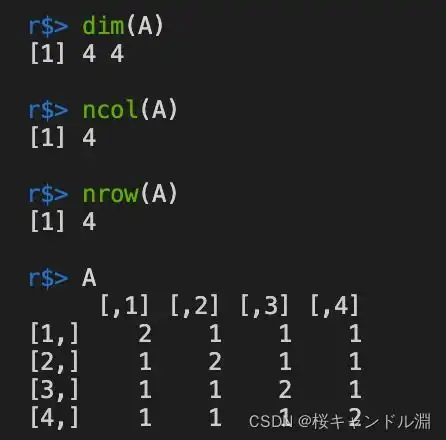 r语言