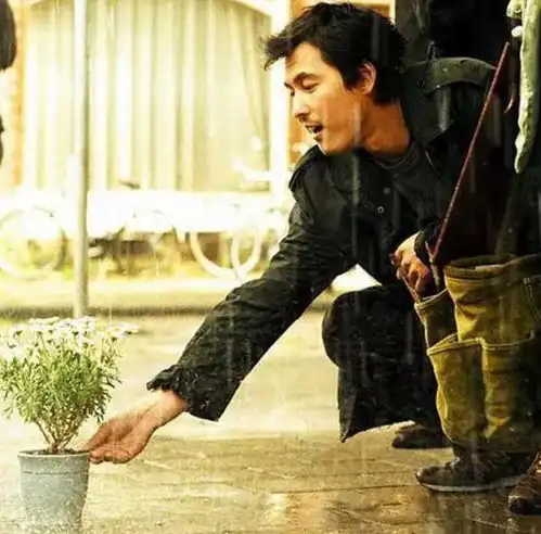 雏菊影评警察与杀手同时爱上了她,这种保护却成了催命符