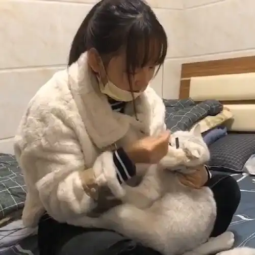 清新小仙女头像大叔