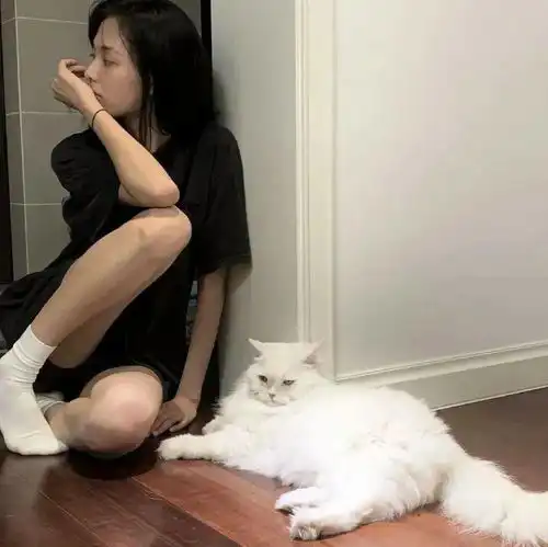 被无情的拉黑没关系,学会这个与对方强行聊天