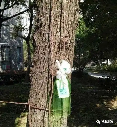 小区花样电动车充电安全隐患何时休