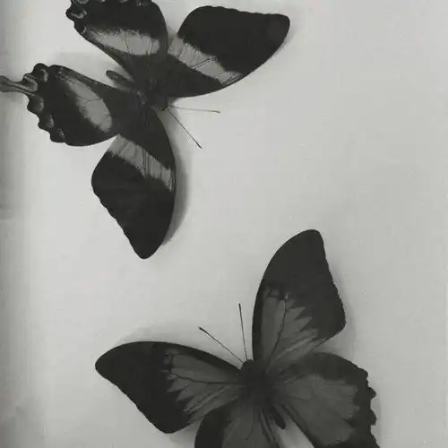 简短而暗含深意的句子