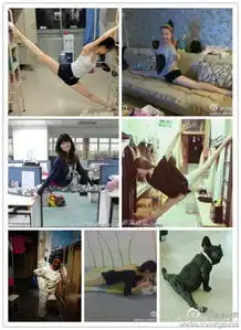 宿舍女生一字马引争相挑战汪星人也来凑热闹