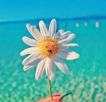 最近朋友圈很霸气的说说,挑一句适合自己的吧