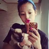 qq女生超霸气头像猫咪