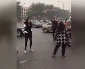 女子辱骂的哥你是下等人我就比你高贵图
