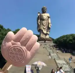 故宫的雪糕美上天这才是记录旅行的最好方式