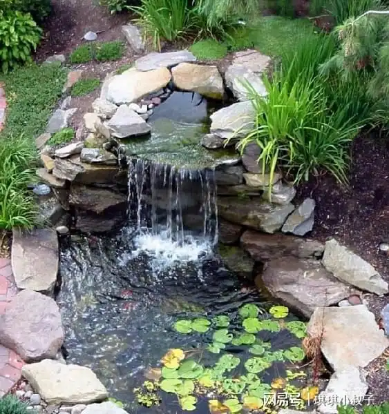 重庆一31岁女太太,因在阳台挖了一个鱼池走红,妥妥视觉盛宴