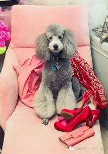 fashion不难,难的是让自己fashion到老